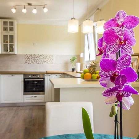 Apartman Maxim Lägenhet Pula Exteriör bild